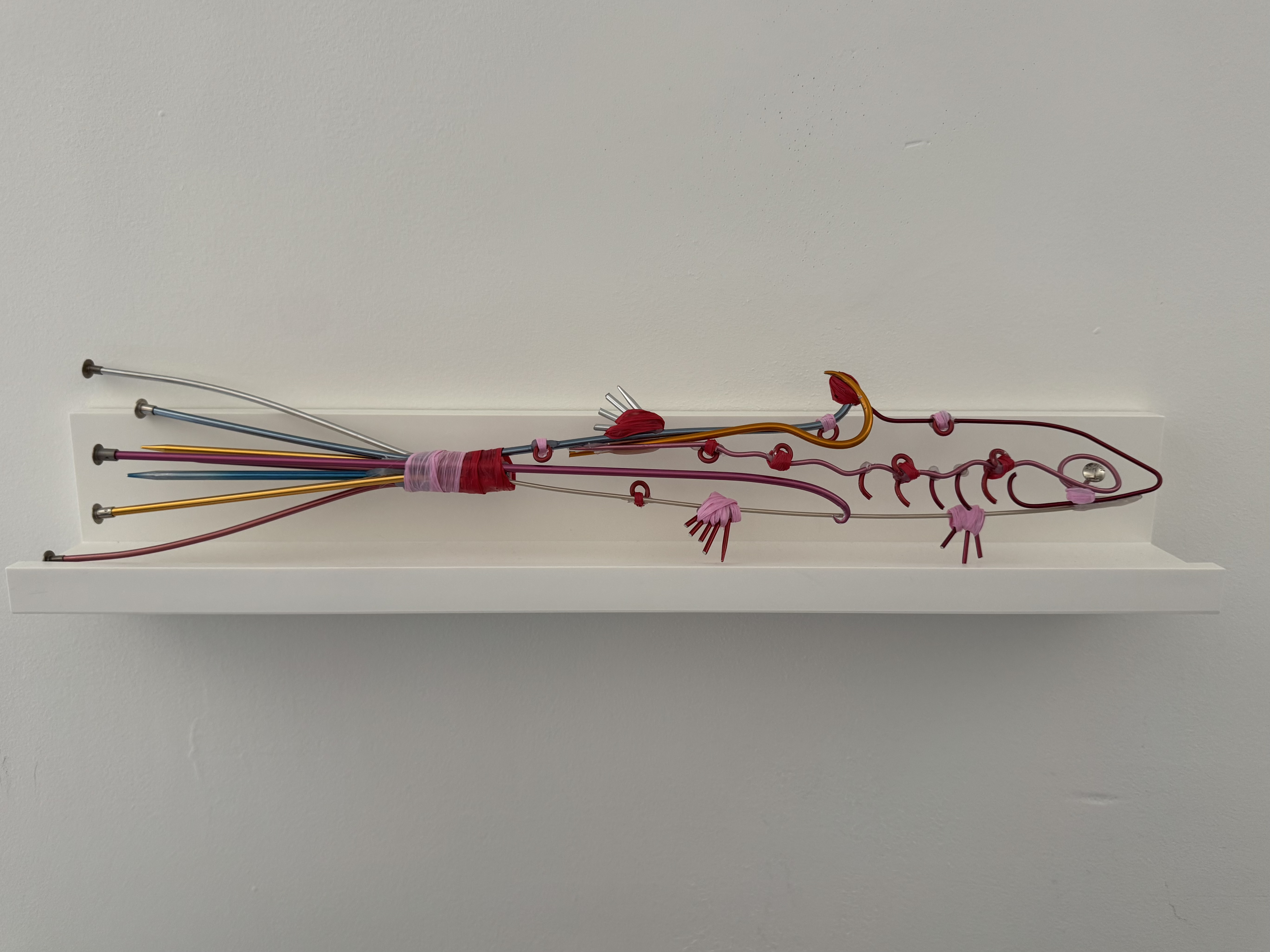 Kneedle Fish